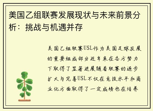 美国乙组联赛发展现状与未来前景分析：挑战与机遇并存